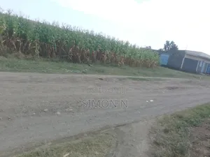 Quick Plot for Sale
