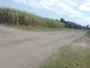Quick Plot for Sale