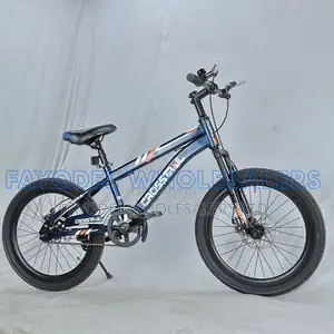 Crosstrail 20 Inch Bicycle for Boys and Girls