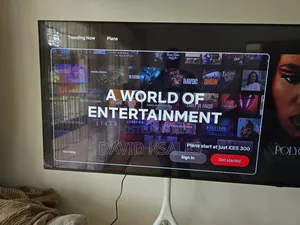 55 Inch Qled Samsung TV (Q8f)