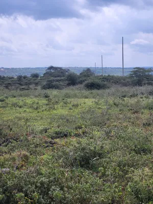 49 Acres Ngong-Kisamis, Off Magadi Road