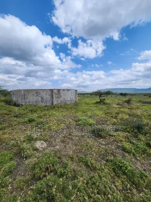 49 Acres Ngong-Kisamis, Off Magadi Road