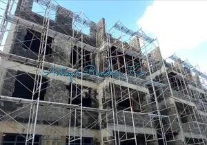 Scaffoldings