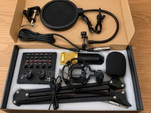 V8 Condenser Microphone for Studios