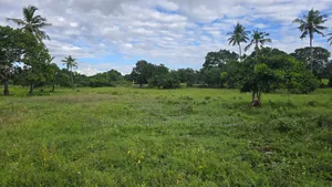 8 Plots of 50 by 100 Along Msa Malindi Highway at Gede for Sale