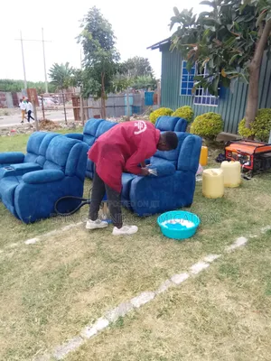 Professional Sofa, Carpet, Mattress Cleaning/Pest Control