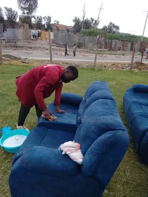 Experts in Sofa Cleaning / Fumigation Services