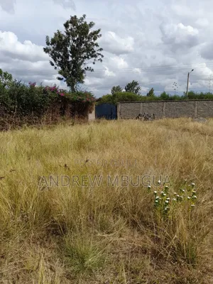Yard Nairobi Perimeter Wall & Gate