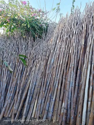 Makonge ( Sisal Poles) for Sale