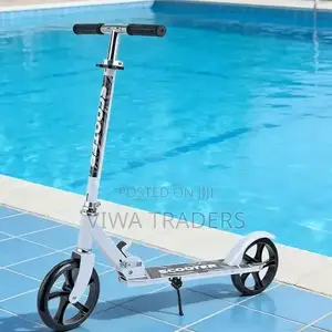 Metallic Kids Scooter