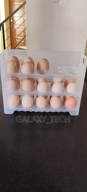 Egg Storage Rack(30 Eggs)