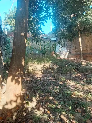 Obama Estate Land for Sale (Come Build Your House)Open for Negotiation