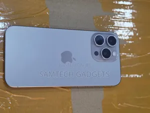 Apple iPhone 15 Pro Max 256 GB Gray