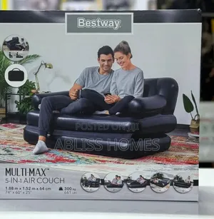 5 in 1 2 Seater Inflatable Pullout Sofa Plus