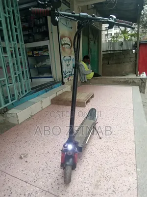 Electric Scooter