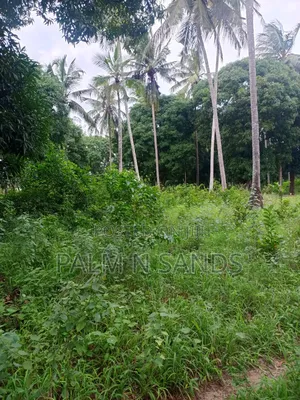 One Acre in Mwabungo Area of Diani on Sale!