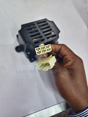 5kw Automatic Voltage Regulator (Avr) 12-Wire