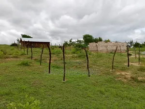 50 By 100 L, Plots For Sale. Mariakani Kibanda Asara.