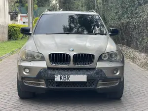 BMW X5 2009 Gold