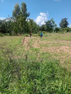 50*100 Mananja /Makuyu