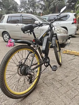 Ebee Ebx Electric Bicycle