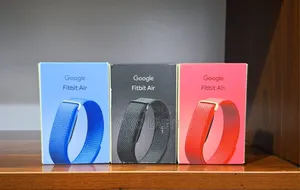 Google Fitbit Air | Fitness Activity Tracker