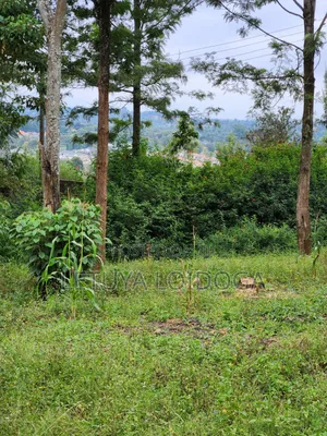 69x103 Plots on Sale Ngong-Olkeri