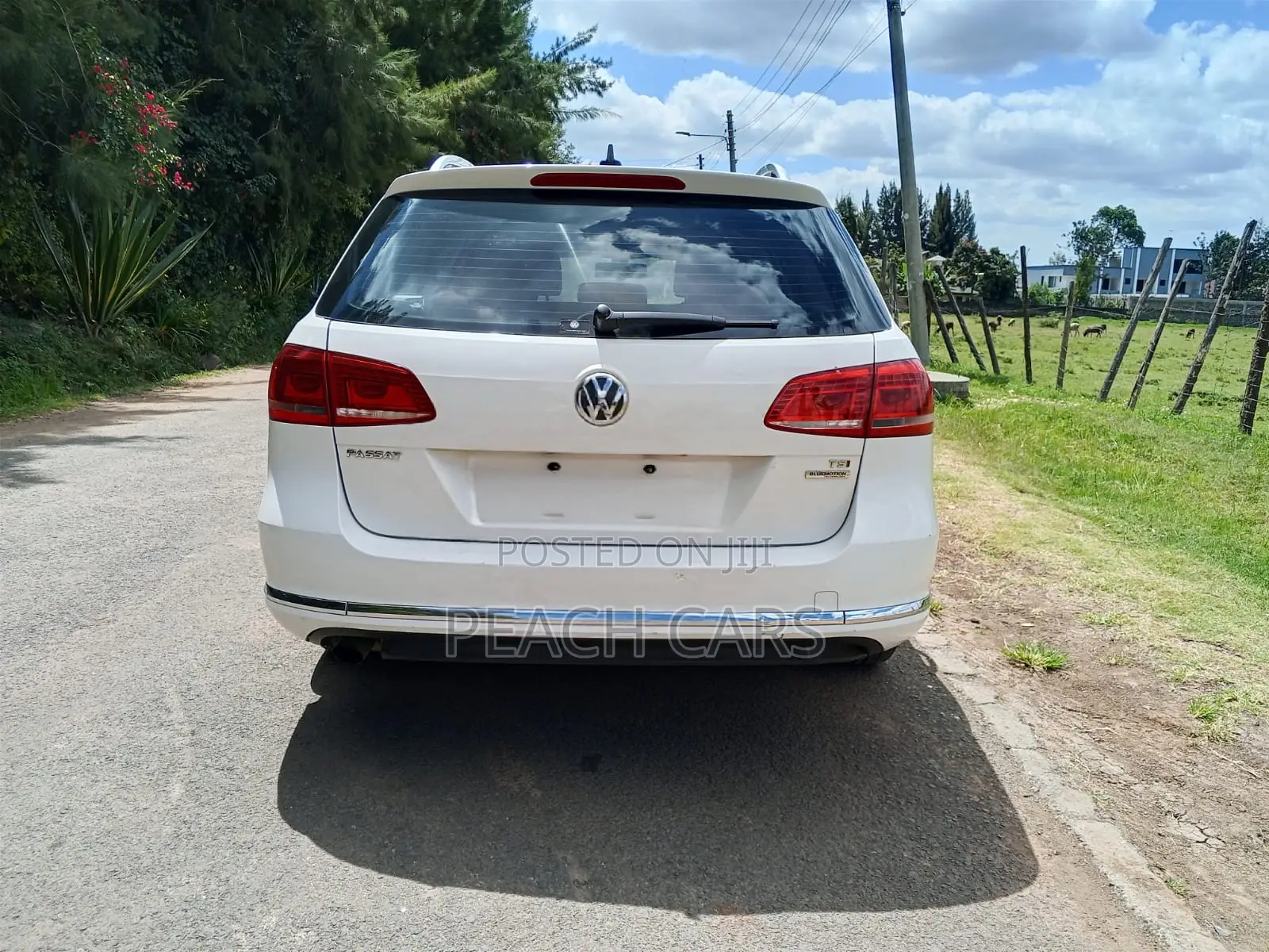 Volkswagen Passat 2014 White