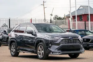 Toyota RAV4 Hybrid 2020 Gray