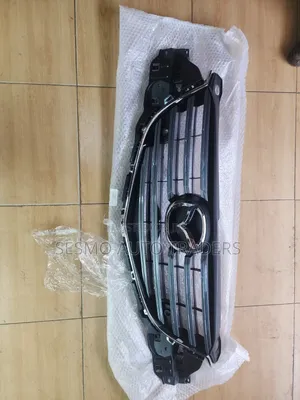 Grille Bumper