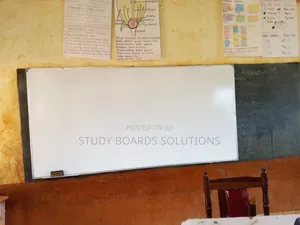 School Office Magnetic Whiteboard 240x120cm