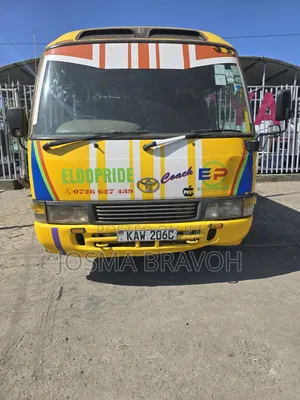 Toyota Coaster 2006 Gold