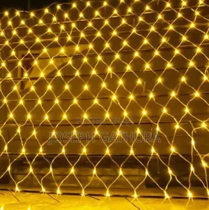 Net Christmas Light