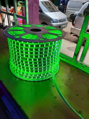 Double Eyed Snake Light