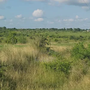 1000 Acre for Sale in Malindi, Adu
