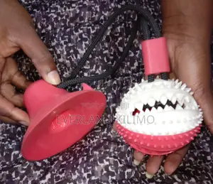 Surface Suction Gripping Rope and Treat Ball Interactive Dog Toy