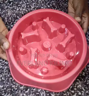 Slow Feeder Dog Food Bowl