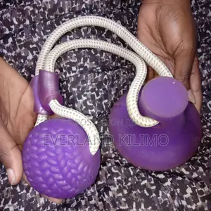 Dog Interactive Suction Cup Push Ball Toy
