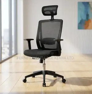 Mesh Ergonomic Office Chair