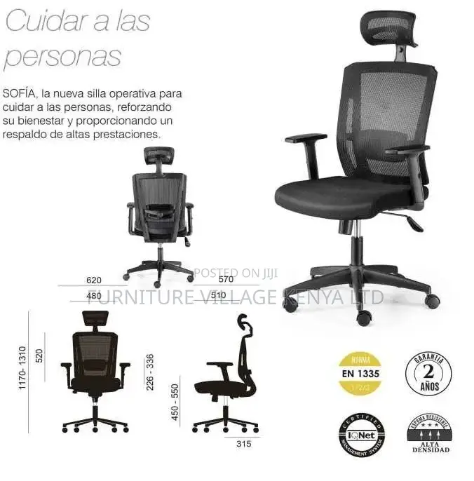 Mesh Ergonomic Office Chair