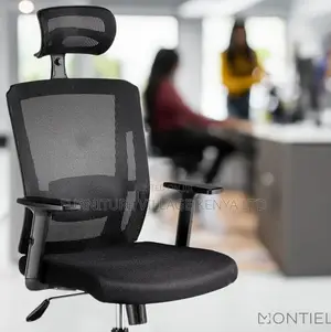 Mesh Ergonomic Office Chair