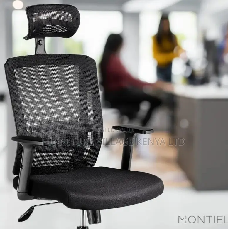 Mesh Ergonomic Office Chair