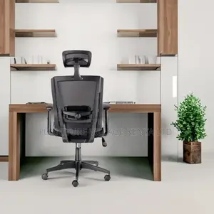 Mesh Ergonomic Office Chair