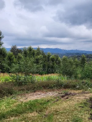 1⁄4 Acre Plots Ngong-Olkeri