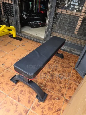 Flat Bench Press * Gym Benches