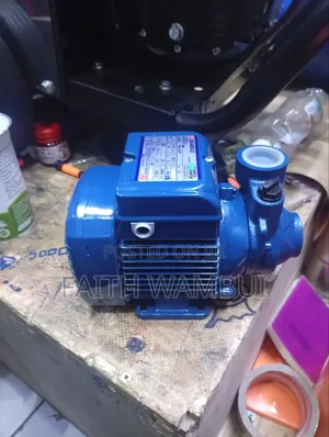 Pkm60 Davis and Shirtliff 0.5hp Pedrollo Water Pump