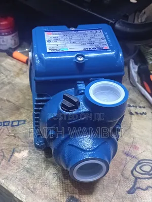 550 Watts 0.5hp Pedrollo Original Water Pump