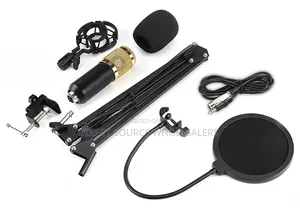 Professional Condenser Microphone for Recording Streaming
