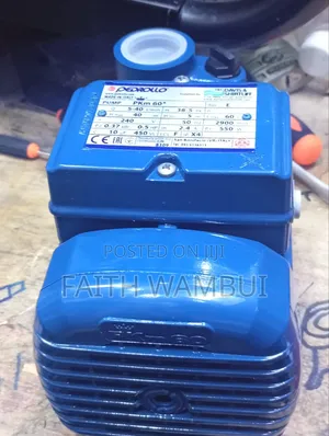 Back in Stock Original Davis and Shirtliff Pedrollo Water Pump/0.5hp