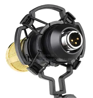 Studio Recording Mic With Shock Mount Stand